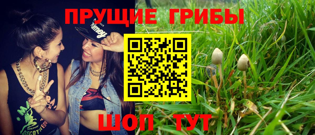 Псилоцибиновые грибы мухоморы  Вход с VPN  Зеленокумск 